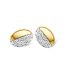 bicolor gouden oorstekersmet diamant 030 crt