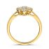 Ring geelgoud briljant 0.48 crt.