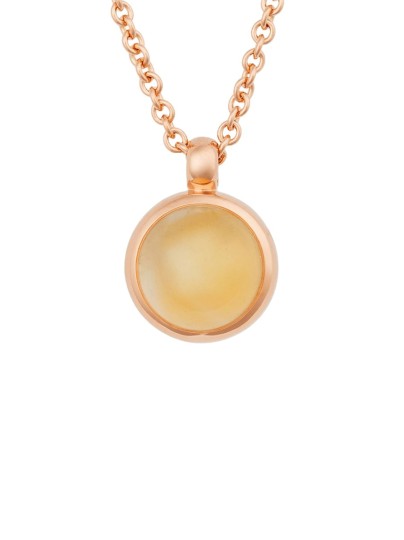 Sushi hanger met citrien